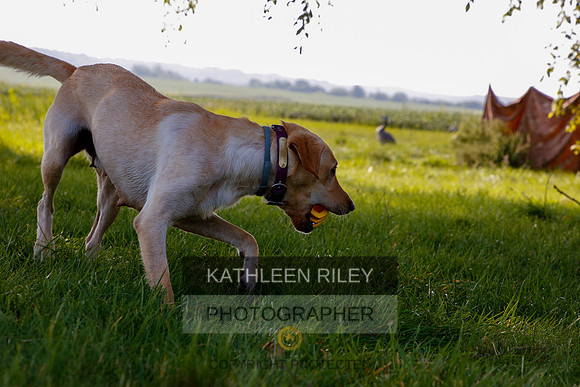 2022-KathleenRileyPhotography-5459