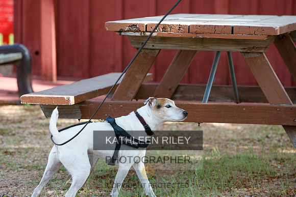 2022-KathleenRileyPhotography-0590