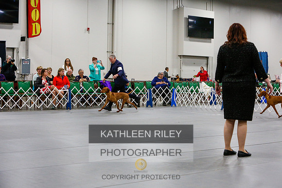 2022-KathleenRileyPhotography-6730