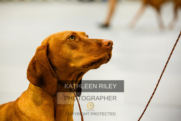 2022-KathleenRileyPhotography-9845