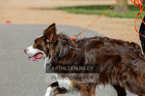 2022-KathleenRileyPhotography-4028