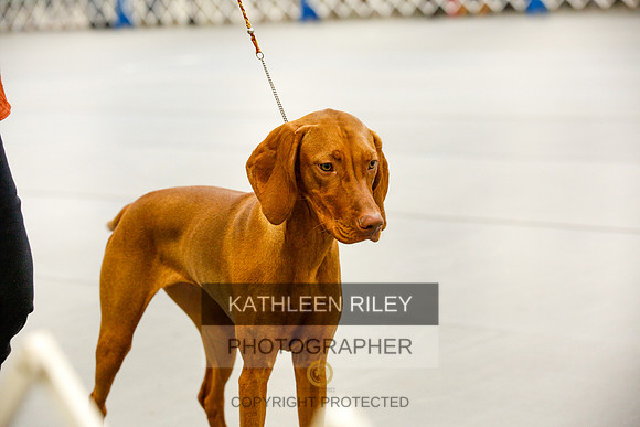 2022-KathleenRileyPhotography-9953