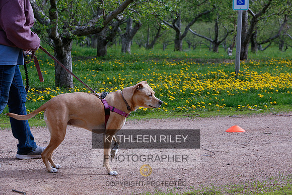2022-KathleenRileyPhotography-8433