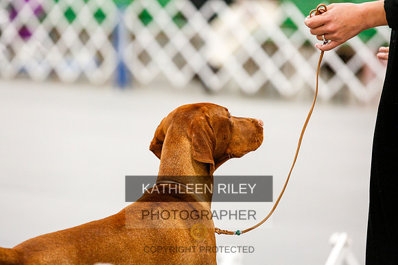 2022-KathleenRileyPhotography-1492