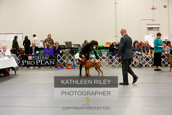 2022-KathleenRileyPhotography-5802