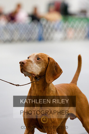 2022-KathleenRileyPhotography-1435