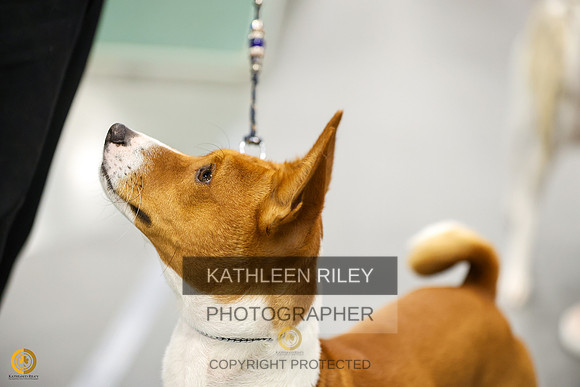 SJLT7931
