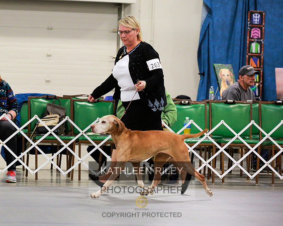 2022-KathleenRileyPhotography-8023