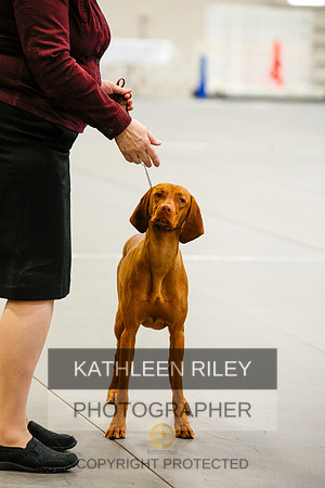 2022-KathleenRileyPhotography-9671