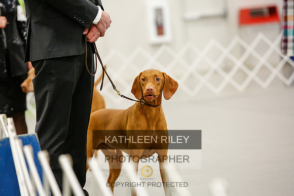 2022-KathleenRileyPhotography-0131