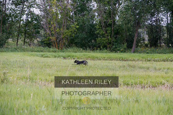 2022-KathleenRileyPhotography-3375