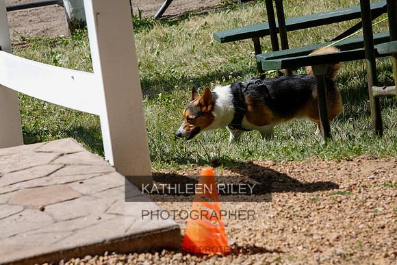 2022-KathleenRileyPhotography-9836
