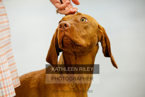 2022-KathleenRileyPhotography-9826