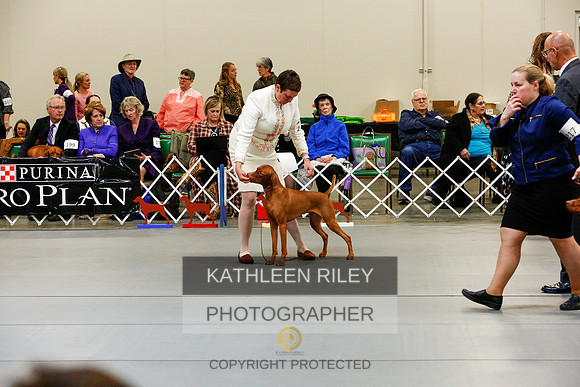 2022-KathleenRileyPhotography-5906