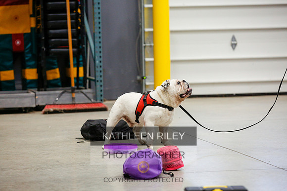 2022-KathleenRileyPhotography-6962