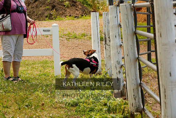 2022-KathleenRileyPhotography-0041