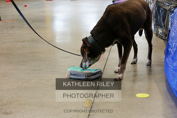 2022-KathleenRileyPhotography-5245
