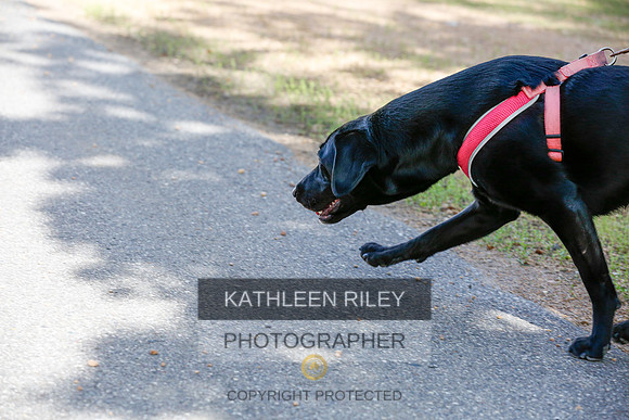 2022-KathleenRileyPhotography-3753