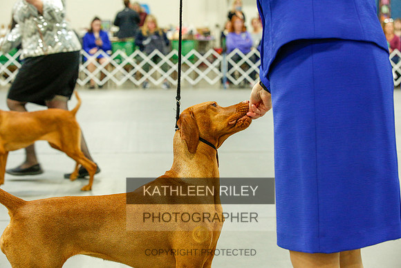 2022-KathleenRileyPhotography-9787