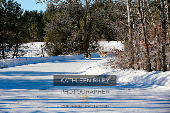 2022-KathleenRileyPhotography-4404