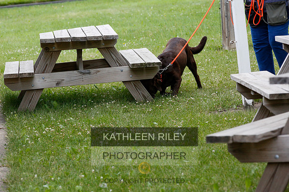 2022-KathleenRileyPhotography-9604