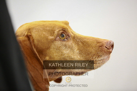 2022-KathleenRileyPhotography-8167