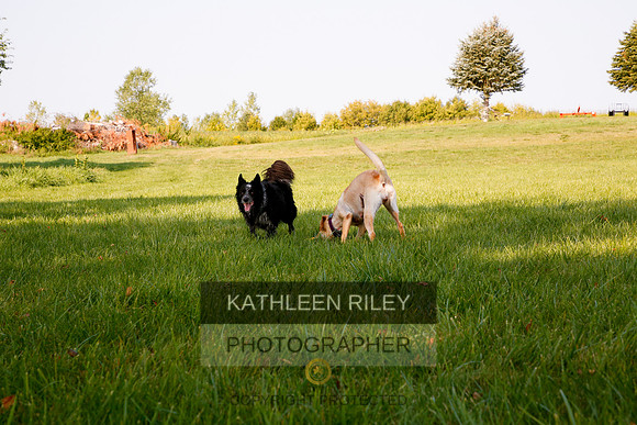 2022-KathleenRileyPhotography-5588