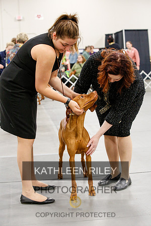 2022-KathleenRileyPhotography-1559