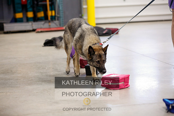 2022-KathleenRileyPhotography-7332
