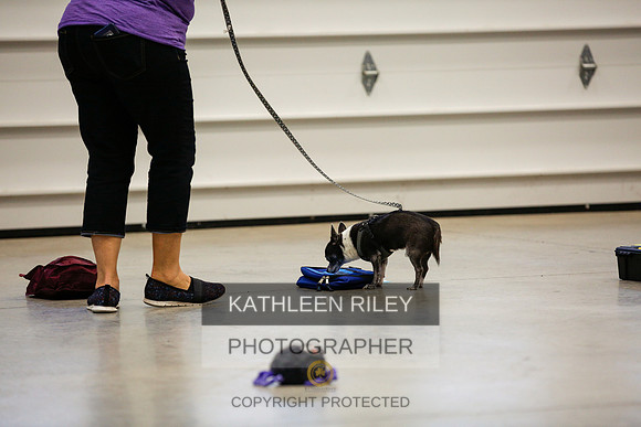 2022-KathleenRileyPhotography-7251