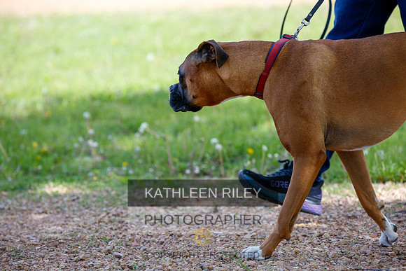 2022-KathleenRileyPhotography-3860