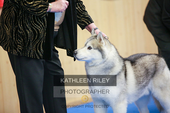2022-KathleenRileyPhotography-5567