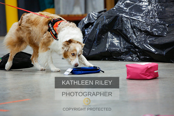 2022-KathleenRileyPhotography-7129