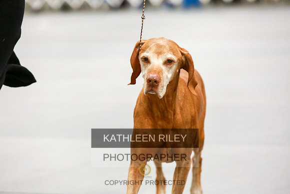 2022-KathleenRileyPhotography-8044