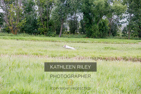 2022-KathleenRileyPhotography-3461