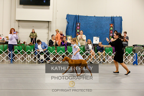 2022-KathleenRileyPhotography-0262