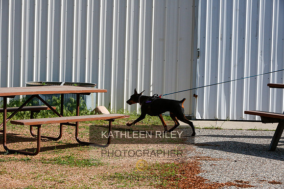 2022-KathleenRileyPhotography-9461