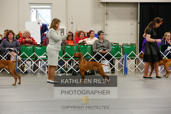 2022-KathleenRileyPhotography-5870