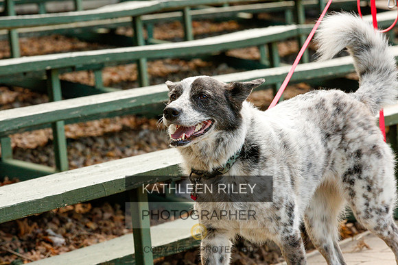 2022-KathleenRileyPhotography-0066
