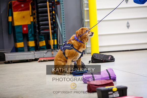 2022-KathleenRileyPhotography-7158