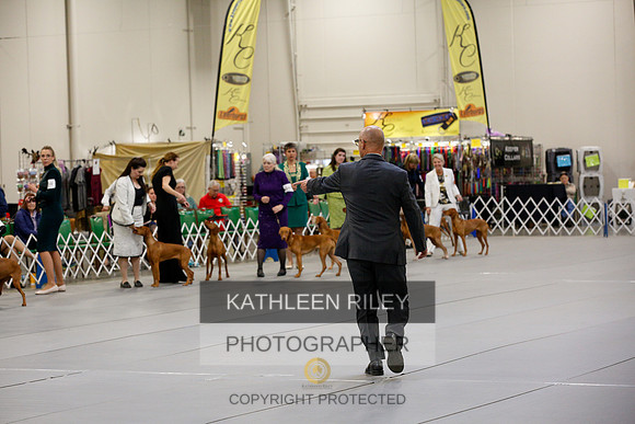 2022-KathleenRileyPhotography-1381