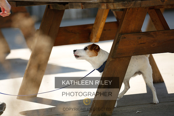 2022-KathleenRileyPhotography-2687