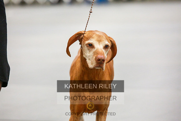 2022-KathleenRileyPhotography-8045