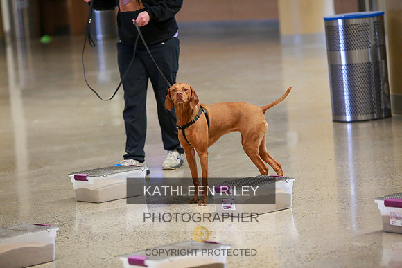 2022-KathleenRileyPhotography-7753