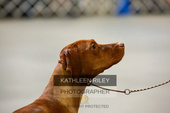 2022-KathleenRileyPhotography-8906
