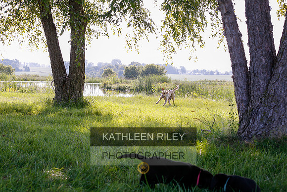 2022-KathleenRileyPhotography-7865