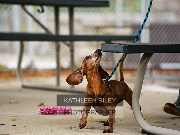 2022-KathleenRileyPhotography-07039