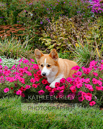 2022-KathleenRileyPhotography-4459