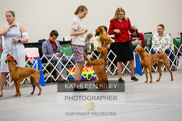 2022-KathleenRileyPhotography-2236