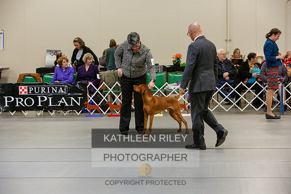2022-KathleenRileyPhotography-5831